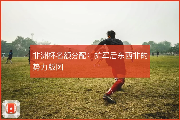 非洲杯名额分配:扩军后东西非的势力版图